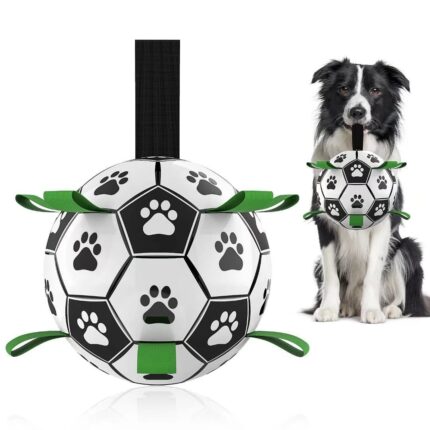 ball for small dogs