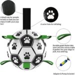 Buy dog soccer ball online