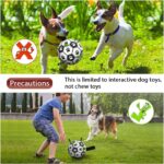Soccer ball for dogs USA