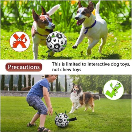 Soccer ball for dogs USA