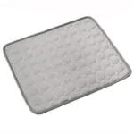 dog pad